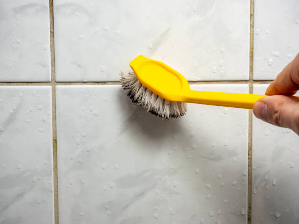 Best Same-Day Mold Removal  in Ferrysburg, MI