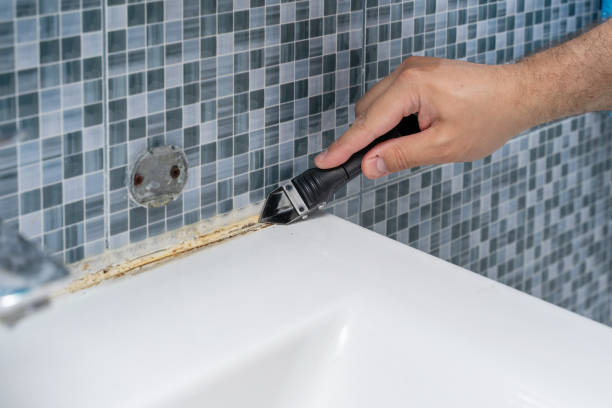 Professional Mold Removal in Ferrysburg, MI
